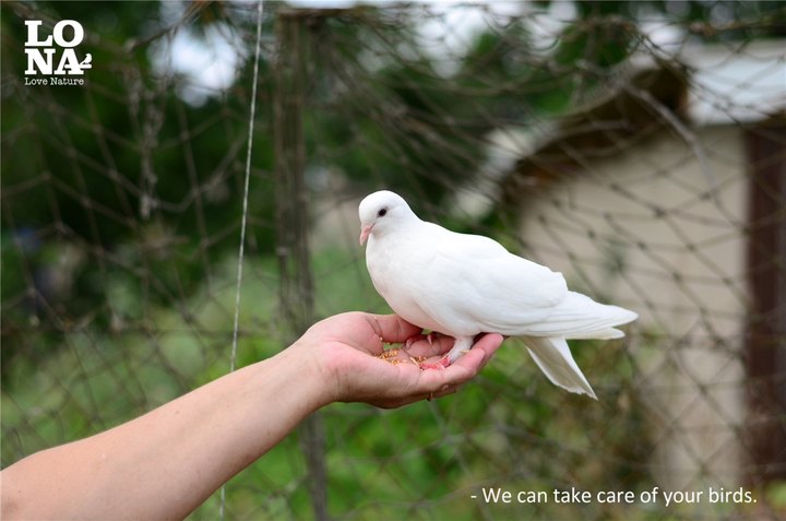 iwEcAqNqcGcDAQTRBQAF0QNQBrC2_cF6kchgXgZYSnNMUlEAB9IO02KhCAAJomltCgAL0gADhyo.jpg_720x720q90